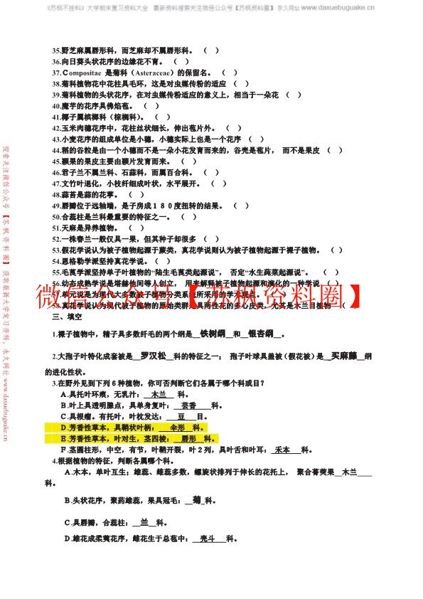 植物分类学